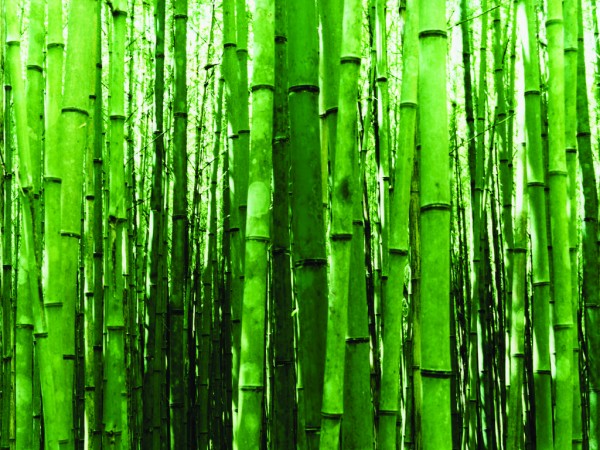如何知道一个期刊是不是sci 知乎