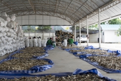 agarwood-distillation-01