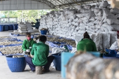 agarwood-distillation-04