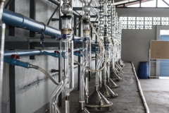 agarwood-distillation-07