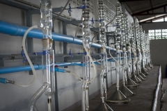 agarwood-distillation-13