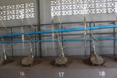 agarwood-distillation-22