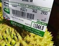 Musang King Durian Prices
