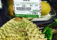 Musang King Durian Prices