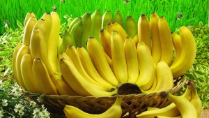 Absolute-Hit-Morning-Banana-Diet