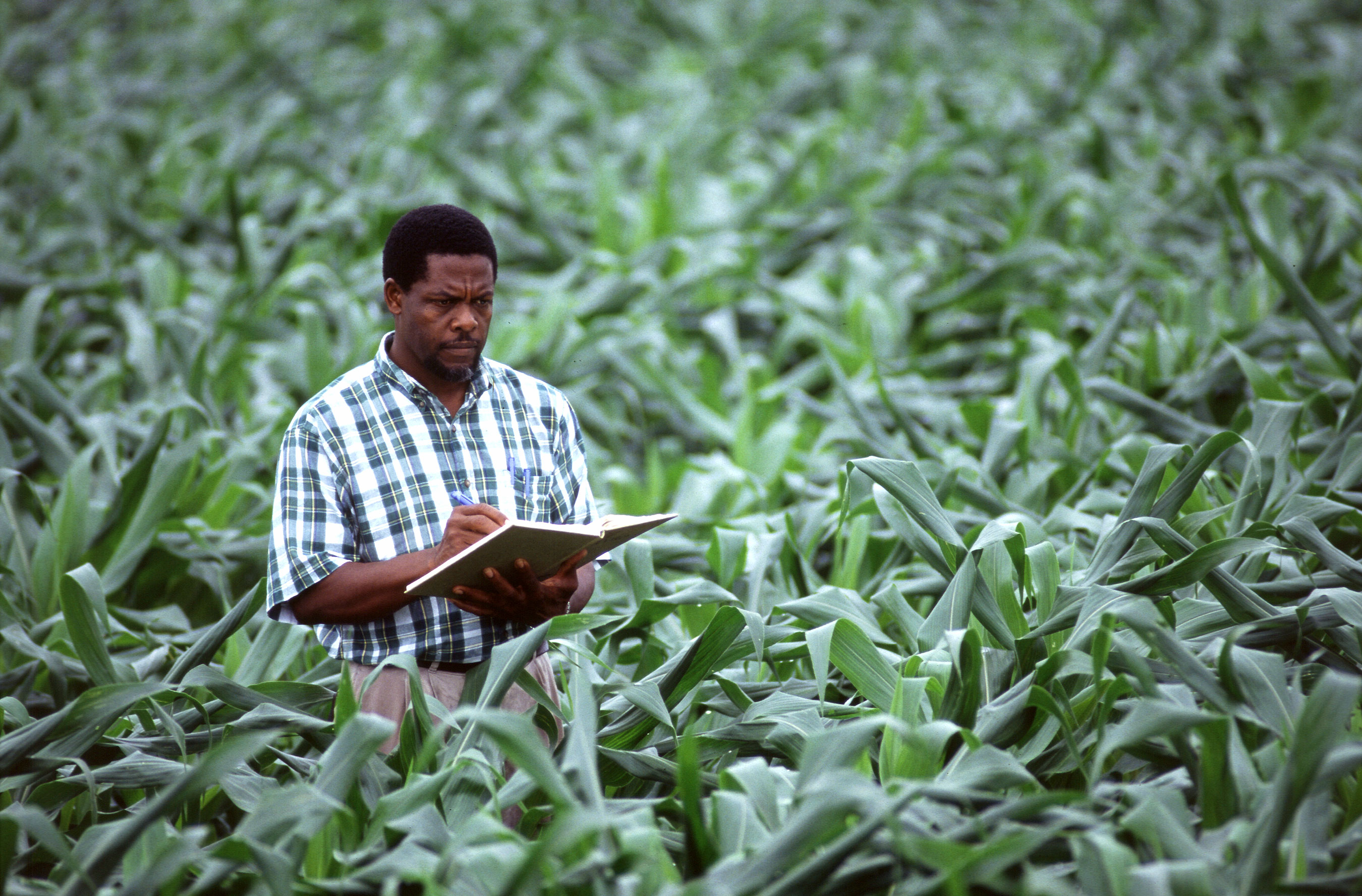 Plantations International agronomist