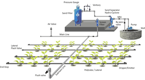 drip-irrigation