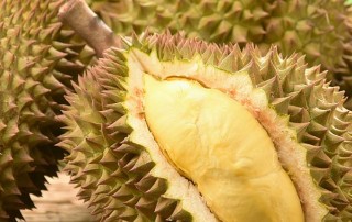 durian