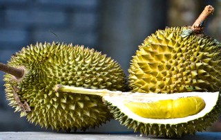 Musang King Durian