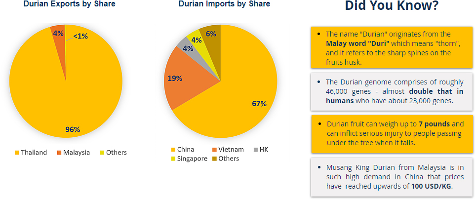 Musang King Durian