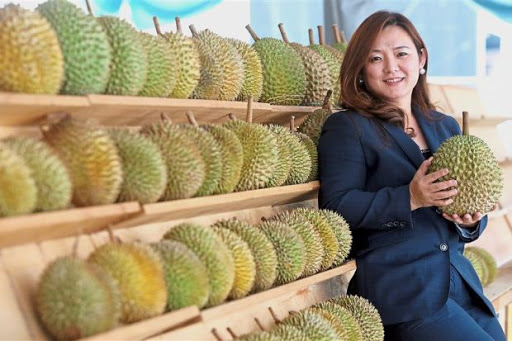 Musang King Durian