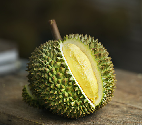Musang King durian