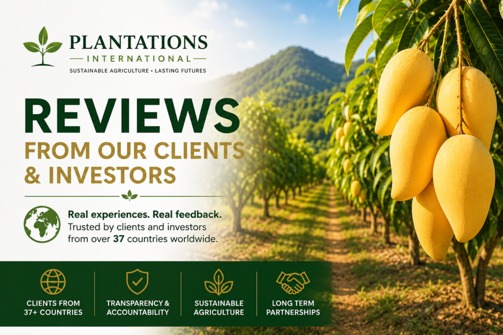 Plantations International Reviews