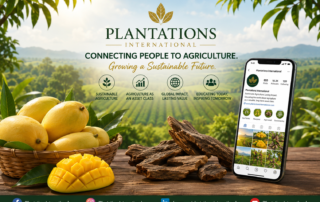 plantations international social media profiles